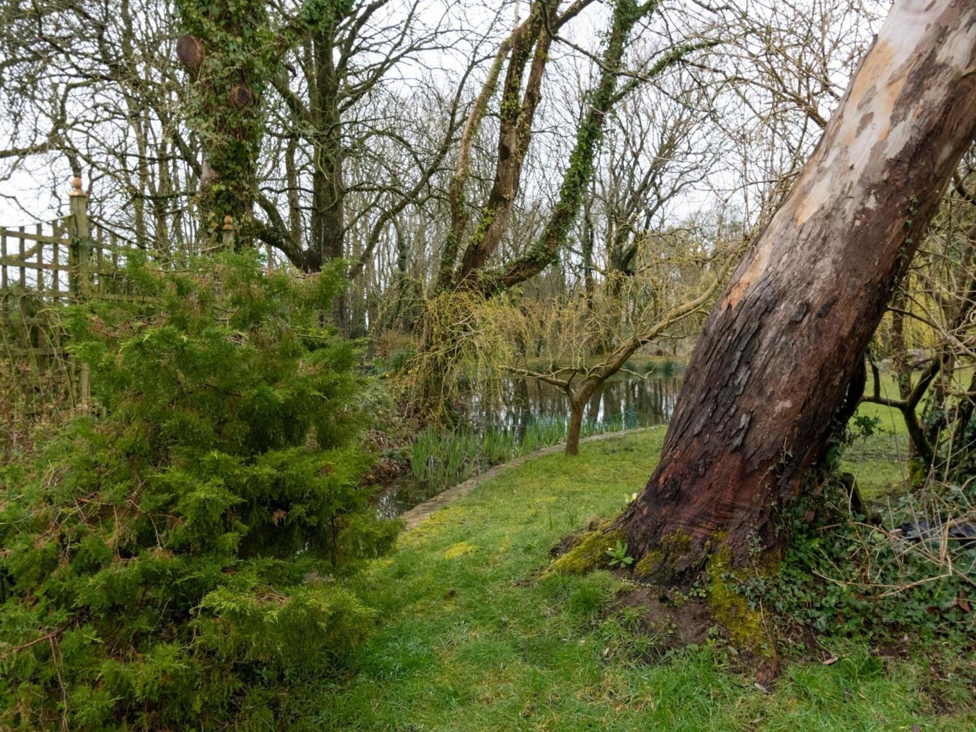 Secluded Holiday Home In Ceredigion With Garden Pennant  Bagian luar foto